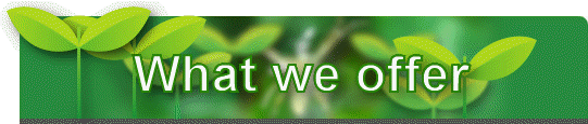 What we offer