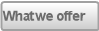 What we offer